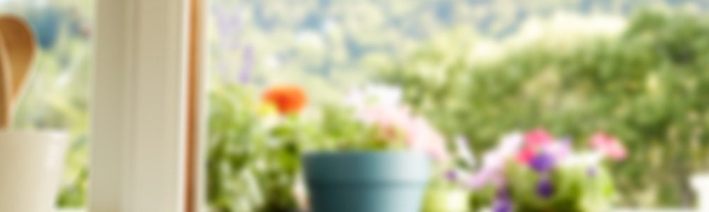 Cleansing - the question everyone asks